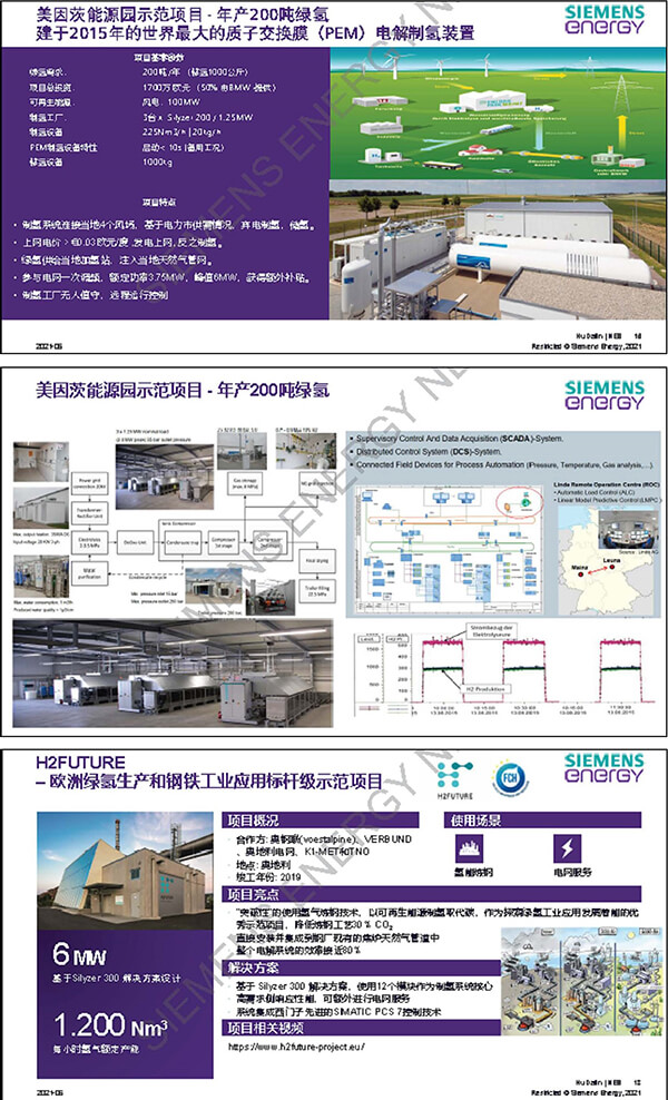 西門子胡大麟：歐洲氫能發展與綠氫解決方案